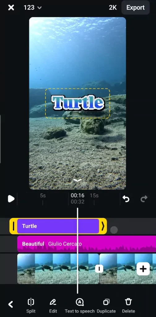 Change the duration of text display