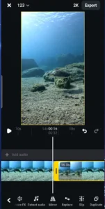 Duplicate button