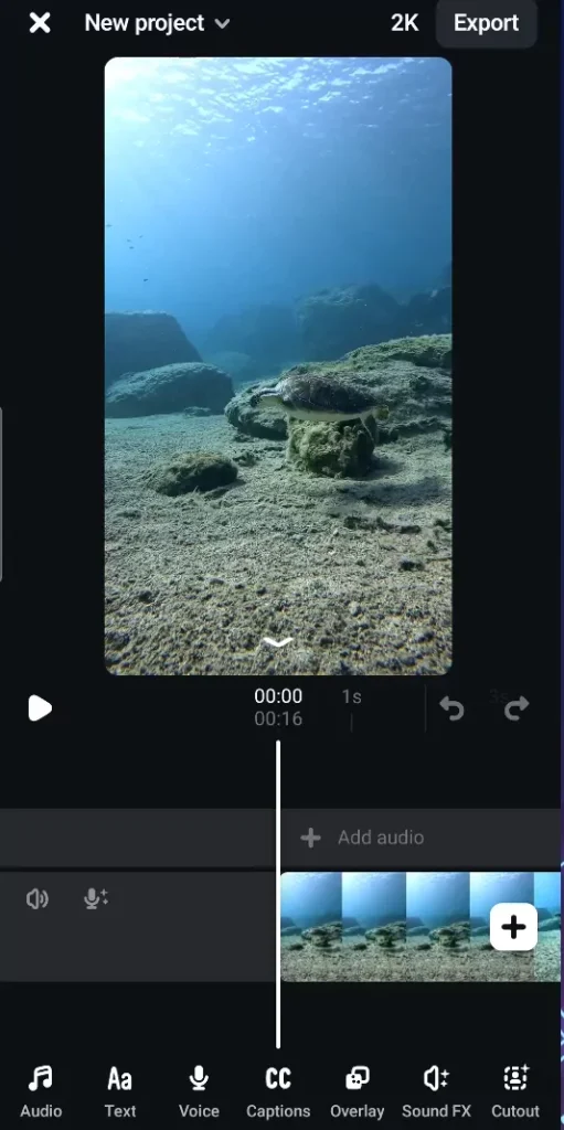 Edits app interface