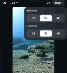 Select resolution and frame rate