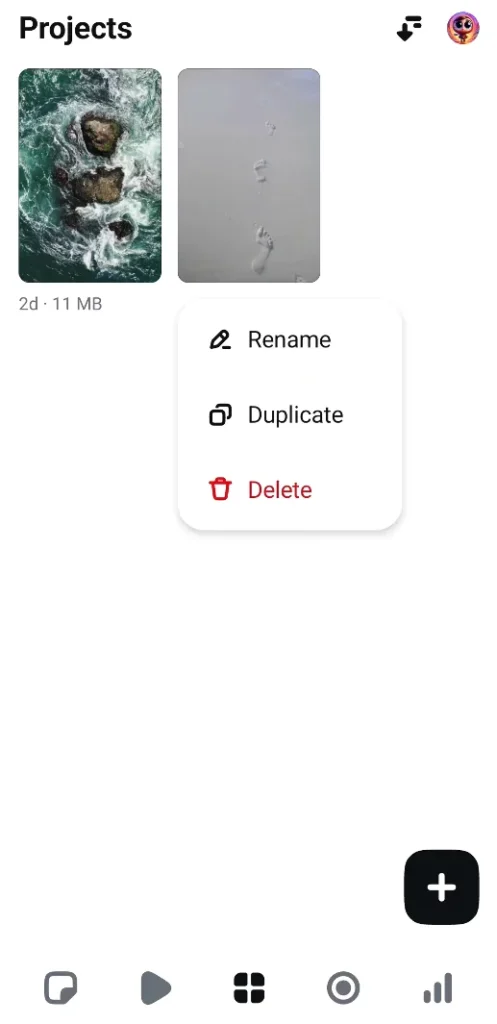 You can rename duplicate or delete the project